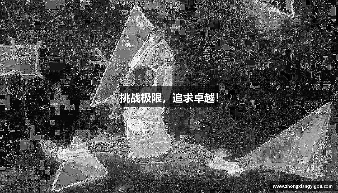 挑战极限，追求卓越！